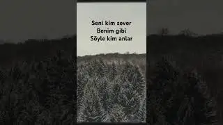 Seni kim sever benim gibi