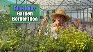 How to Build a Border with Blue Hues Garden Perennials