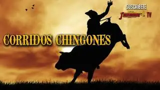 CORRIDOS CHINGONES - Ramon Ayala / Cadetes / Cachorros / Michael Salgado / Eliseo / Muchos Mas!