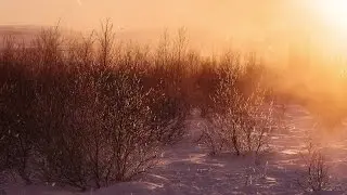 Snowy Sunrise - HD Video Background Loop