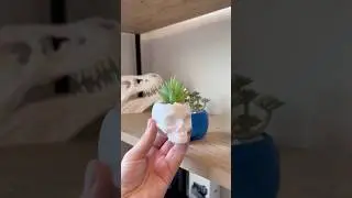 3D Printed Skull Planters!