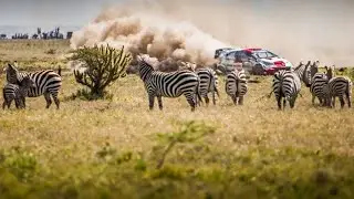 LIVE: PRESIDENT RUTO ATTENDS SAFARI RALLY FINALS IN NAIJVASHA ,NAKURU COUNTY