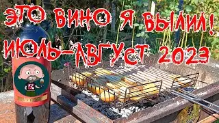 Это вино я вылил. Июль - август 2023