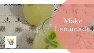 #Shorts How make lemonade with fresh lemons easy recipe #shorts