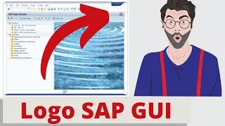 Change logo in title bar in the SAP GUI | Customize SAP GUI