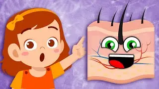 Everything You NEED To Know About Your Skin! | Human Body Songs For Kids | KLT Anatomy