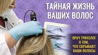 Здоровые волосы для вашего имиджа