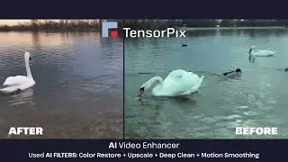 Use Case: AI Color Restore Filter with TensorPix