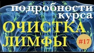 ОЧИСТКА ЛИМФЫ- подробности программы