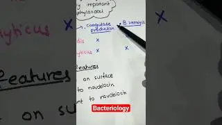 Bacteriology
