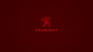 I Accidentally Peugeot