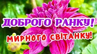 ДОБРОГО РАНКУ, МИРНОГО СВІТАНКУ! ГАРНЕ МУЗИЧНЕ ВІТАННЯ!