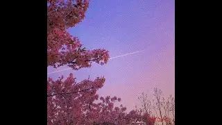 (FREE) Lo-fi Type Beat - Loveliness