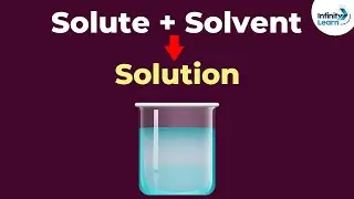 How does a Solute Dissolve in a Solvent? | Solutions | Chemistry | Don't Memorise