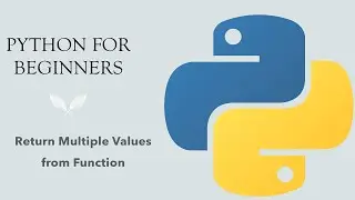 #43 Python for Beginners: Return Multiple Values from Function