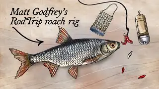 Roach Fishing Feeder Setup Explained | RodTrip Rigs 🎣