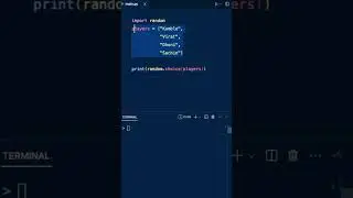 Very USEFUL function in #python while developing a game #pythonprogramming #codinglife