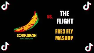 Shaggy Banana vs. The Flight (Why Love Me) [Fre3 Fly Mashup]