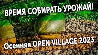 Время собирать урожай! Осенняя выставка OPEN VILLAGE 2023.