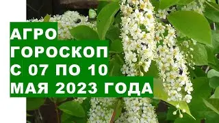 Агрогороскоп с 07 по 10 мая 2023 года. Агрогороскоп з 07 по 10 травня 2023 року