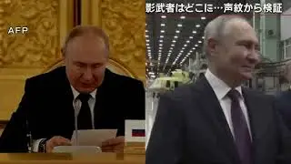 ПОЛНЫЕ ИДИОТЫ И АРТИСТЫ В РОЛИ ПУТИНА