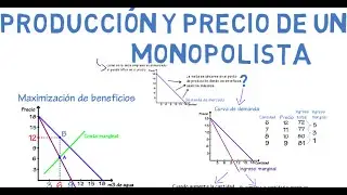 Monopolio | Cap. 20 - Microeconomía