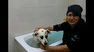 Посылка для Белочки или несколько дней из жизни нашей красавицы