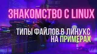 Знакомимся со всеми возможными типами файлов в Linux #easyit #linuxcommandline   @EasyITChannel