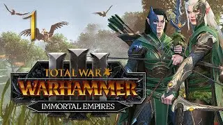 THE WILD HUNT BEGINS! Total War: Warhammer 3 Immortal Empires Campaign #1 - Sisters of Twilight