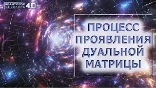 ПРОЦЕСС ПРОЯВЛЕНИЯ ДУАЛЬНОЙ МАТРИЦЫ/ THE PROCESS OF MANIFESTATION OF THE DUAL MATRIX