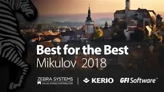 Best of the Best GFI Partners 2018