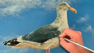 Realistic Bird Painting - Seagull - Oil Painting Tutorial - Paint Along