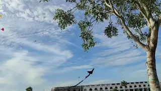 Kites flying playground | Outdoor activities