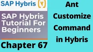 hybris ant customize | ant customize in hybris | ant commands in hybris | SAP Hybris | hybris