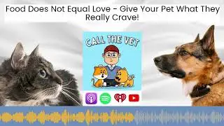 Food Does Not Equal Love - Give Your Pet What They Really Crave!