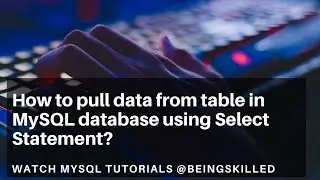 How to query data from table in MySQL database using Select Statement?