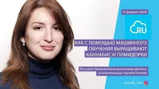 Как выращивают каннабис с помощью машинного обучения