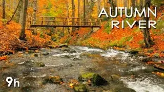 Autumn River Sounds -  Relaxing Nature Video - Sleep/ Relax/ Study - 9 Hours - HD 1080p