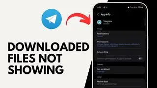 How to Fix Telegram Downloaded Files not Showing