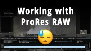 ProRes RAW: How to record, edit, and transcode with Final Cut Pro, Premiere, Scratch & Resolve