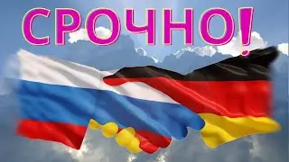 Никто не хочет войны  Путин и Шольц обсудили безопасность в Европе