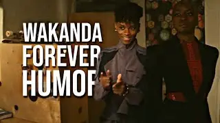 black panther wakanda forever humor | so yall stoped having black panthers when i get kidnapped?