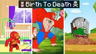 BIRTH to DEATH of a KING KONG-  ALL Family KONG VS GODZILLA- FUNNY CARTOON