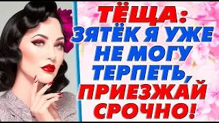 Теперь часто езжу к тёще на дачу, помогаю ей во всем…