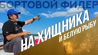 ДОНКА с берега ОТДЫХАЕТ! Как НАЛОВИТЬ с лодки ХИЩНИКА и БЕЛУЮ РЫБУ