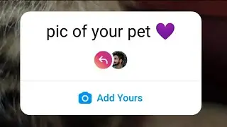 Pic of your Pet Photos Sticker on Instagram | add yours sticker instagram