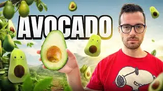 Perché l’avocado NON dovrebbe esistere