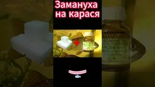 Прикормка на карася из сахара своими руками