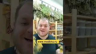 для печени и от камней