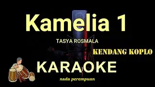 OH SUNGGUH TAKAN KU BIARKAN ( KAMELIA ) - TASYA ROSMALA - KARAOKE KOPLO NADA PEREMPUAN